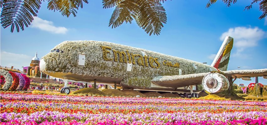 Dubai Miracle Garden: Where Nature Meets Imagination
