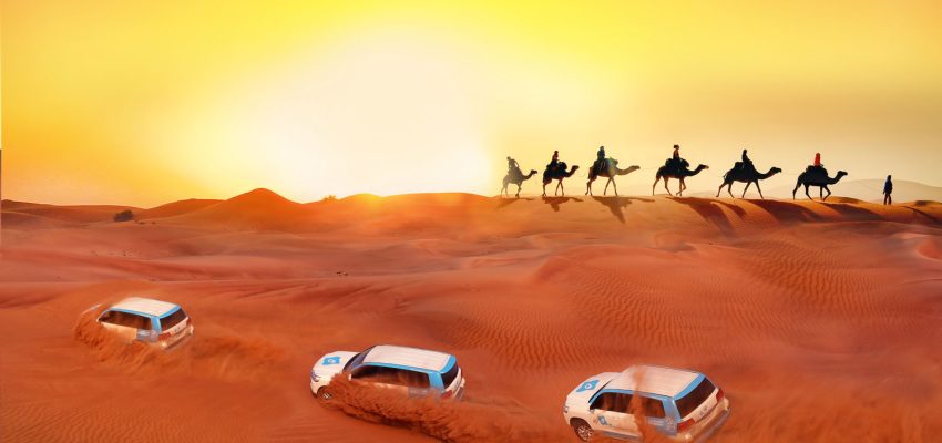 Desert Safari Dubai: Discover Top Tours for an Unforgettable Experience